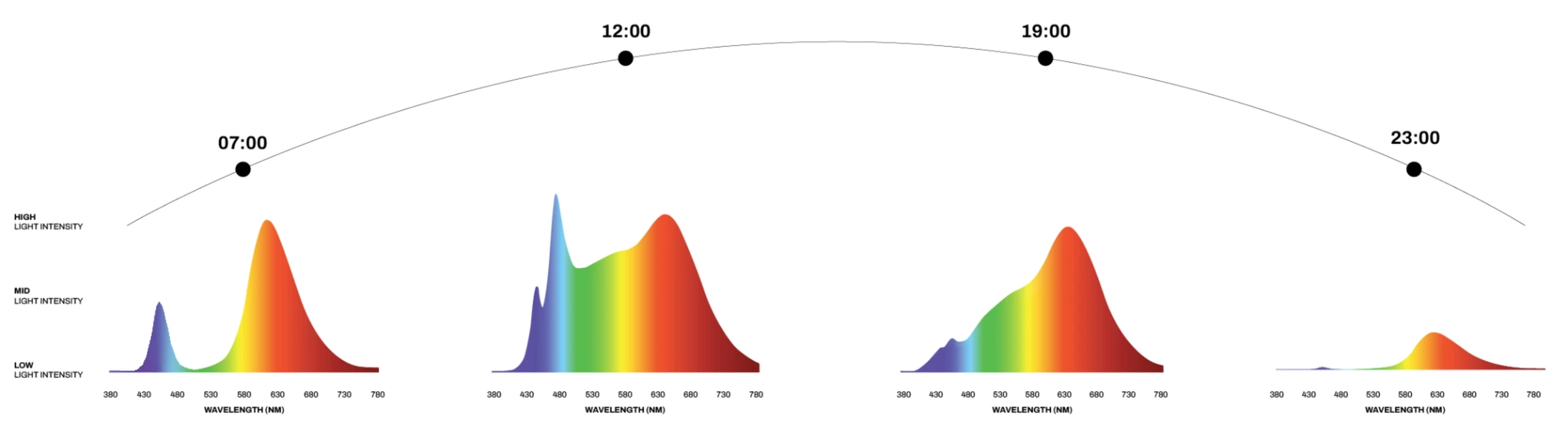 Chart showing wavelengths of circadian lighting