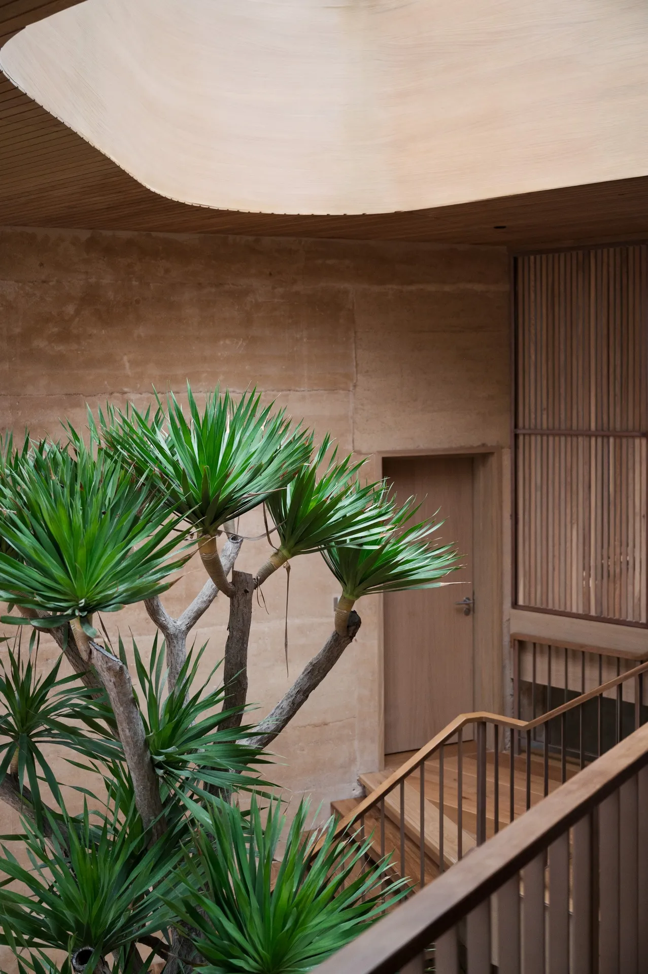 A tree with a staircase around it