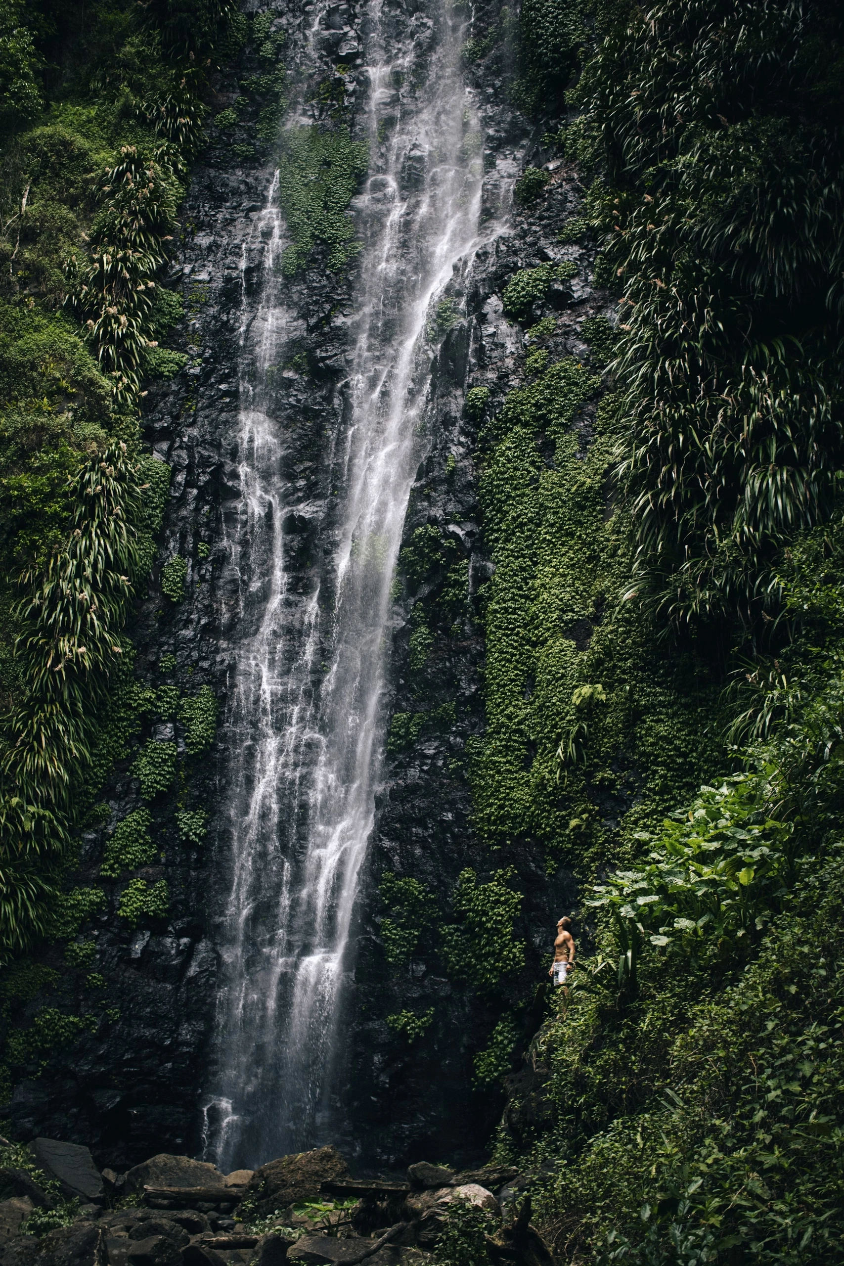 Image of Vietnamese nature