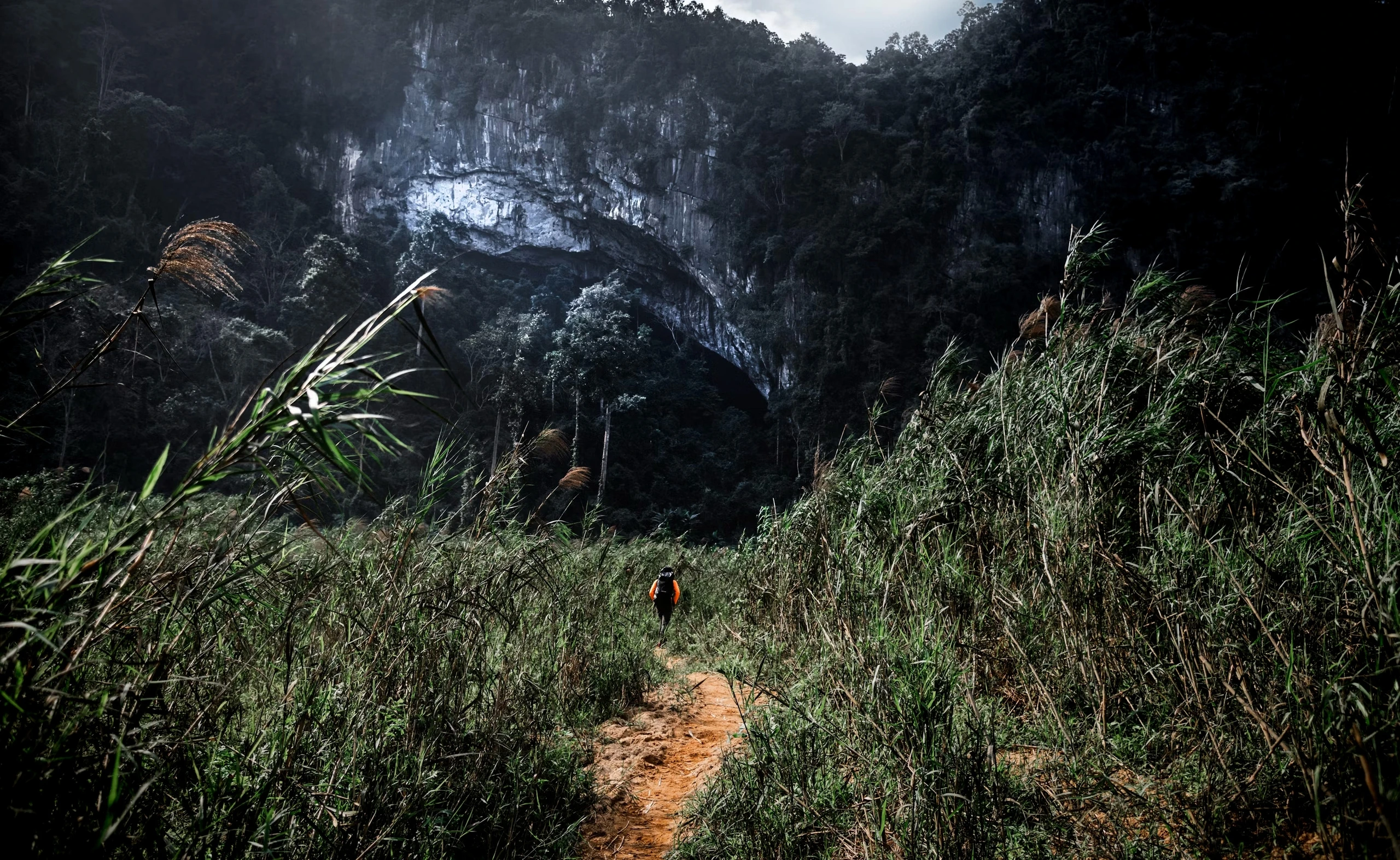 Image of Vietnamese nature