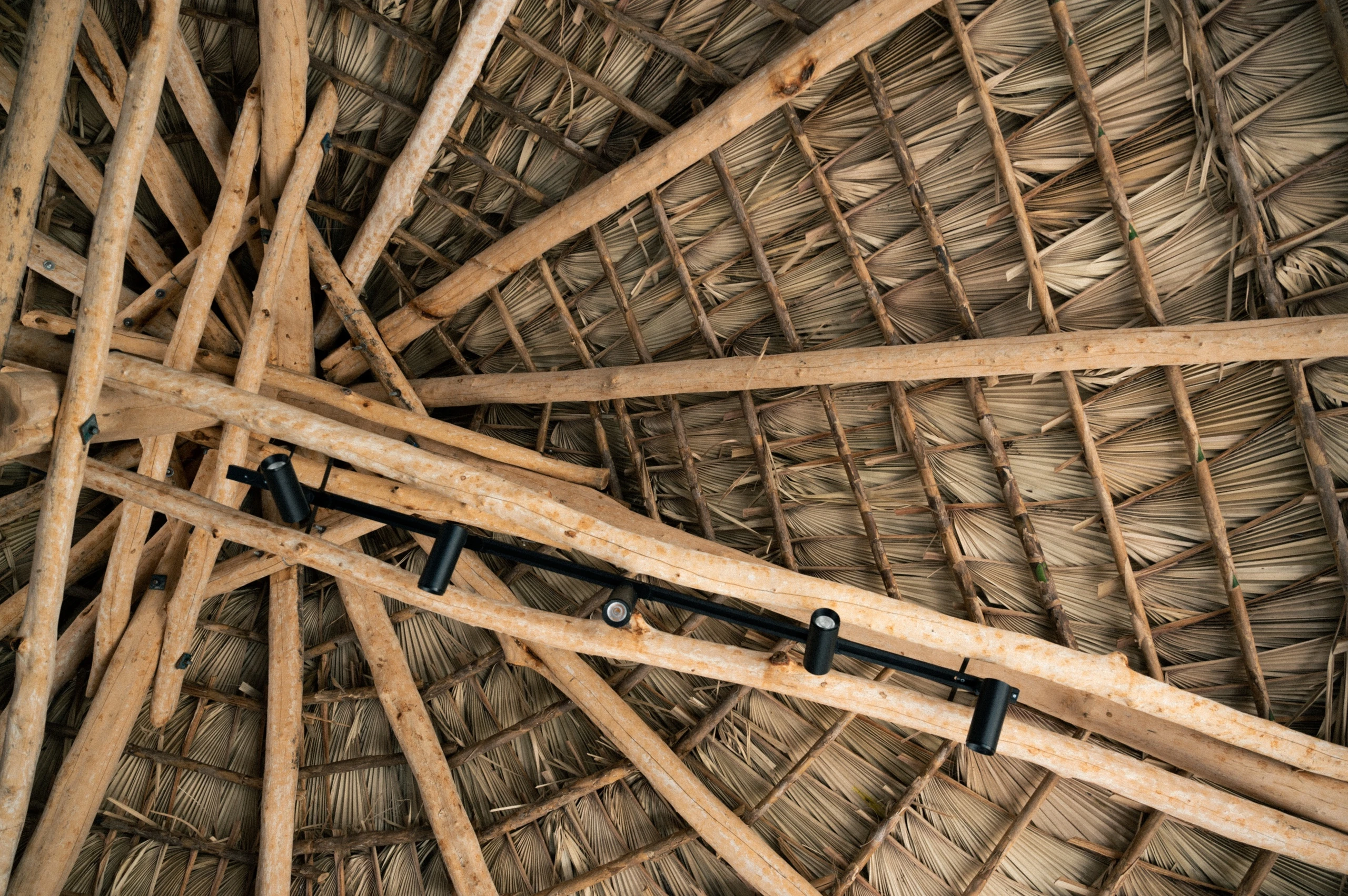 Image of mirador pavilion interior ceiling